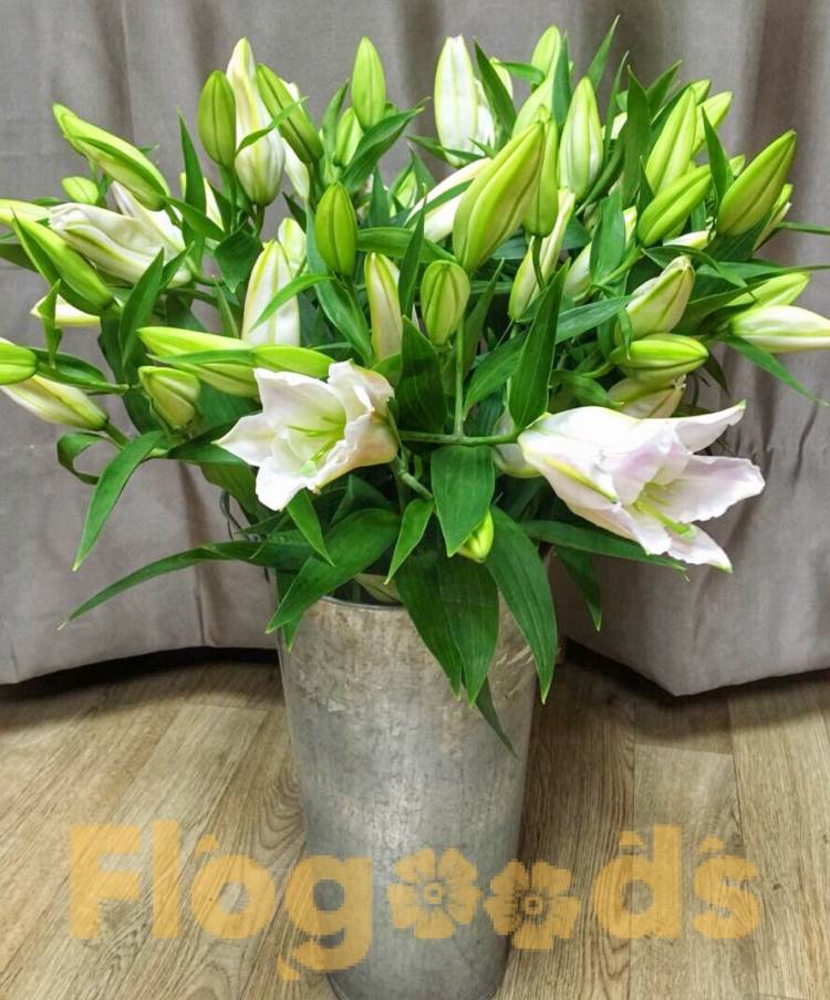 Букет «Восток» за 9 817 руб.