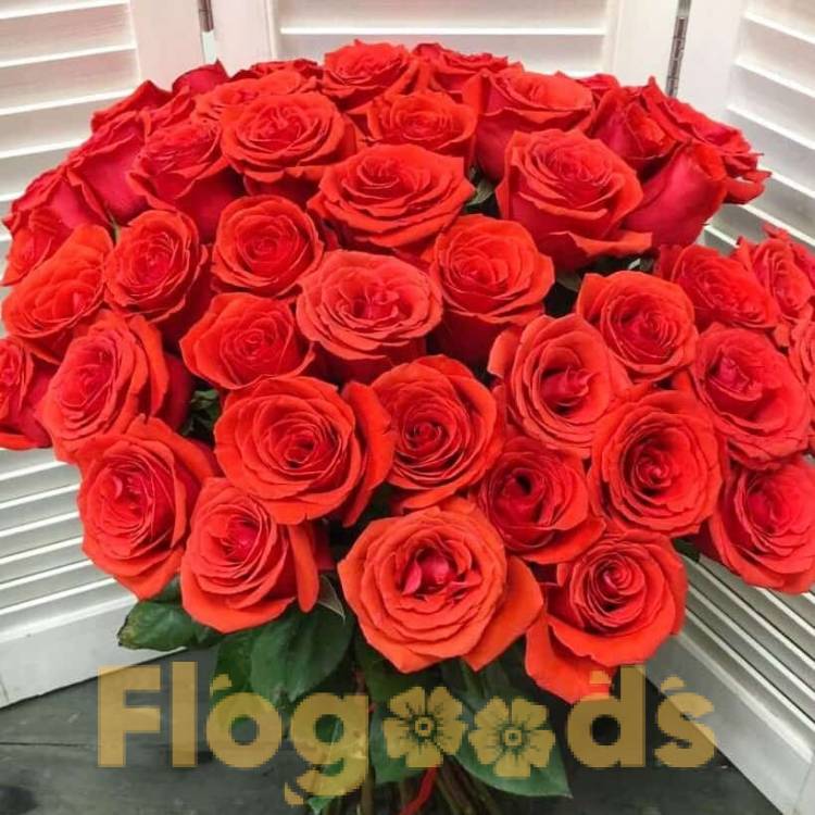 51 красная роза за 19 497 руб.